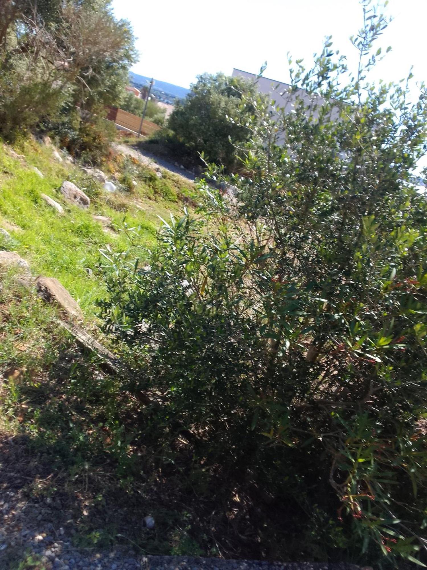 Gite De L'Etang Proche Des Grands Buffets Narbonne Eksteriør bilde